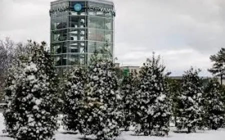 cvna stock coverage slowed by site verification and cookie prompts, investors face information gap