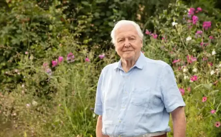 BBC Celebrates Sir David Attenborough’s 100th Birthday with Three Special Shows