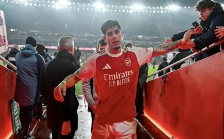 Piero Hincapié Stuns with Goal in Arsenal vs Wolves, Premier League Match