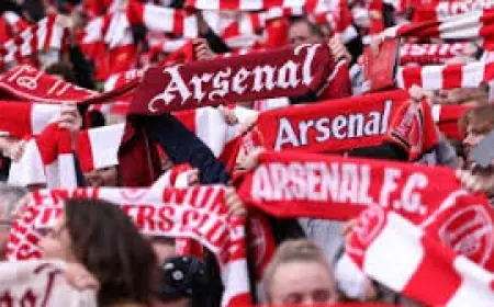 arsenal standings: Safe-standing plans at the Emirates — capacity, expansion and what fans can expect