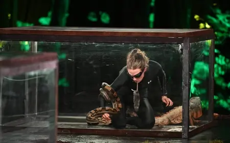 fear factor house of fear: contestants recount snake tanks, rodent mouth-passes and life after the show