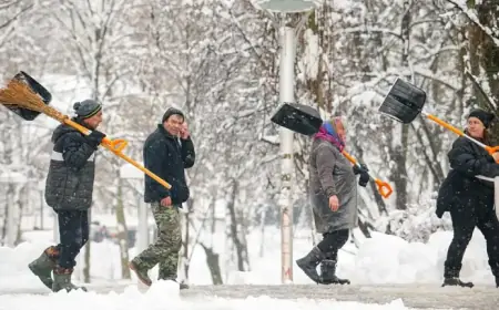 Heavy Snowfall Blankets Bucharest, Disrupts Transport Services