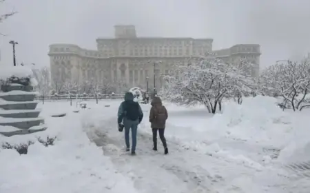 Romanian Snowstorm Leaves 200,000 Homes Without Power