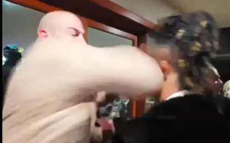 tiki ghosn Delivers Elbow That Floors Streamer at Rampage Jackson House Party