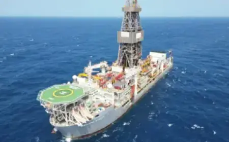 Millie Bobby Brown Shines in Stunning Photos for 22nd Birthday Celebration!