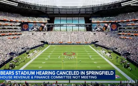 Illinois committee cancels hearing as chicago bears stadium fight intensifies