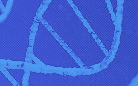 dire wolf siblings Romulus and Remus Hit New Pack Milestones as Trio Matures