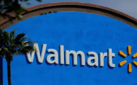 wmt stock: Investors Face Access Hurdles as Financial Sites Tighten Privacy and Bot Checks