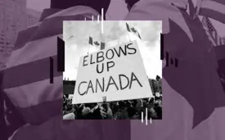 Canadians Turn on the usa: Polls, Food-Supply Data and a Bridge Threat Stoke Alarm