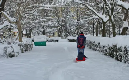 Climate Experts Warn of More Winter Hazards Following Severe Snowstorm