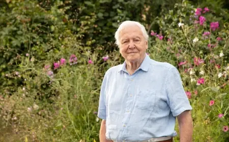 David Attenborough centenary: BBC to air three special programmes