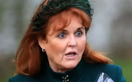 Sarah Ferguson: Six linked companies to be dissolved after Epstein revelations