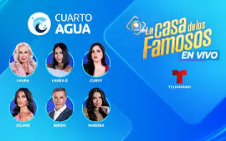 Fastly Error Disrupts Pages Including La Casa De Los Famosos 2026 Headlines