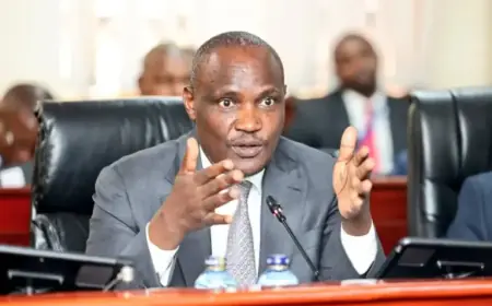 Treasury Seeks Sh258bn Investor for KQ’s Critical Turnaround Effort