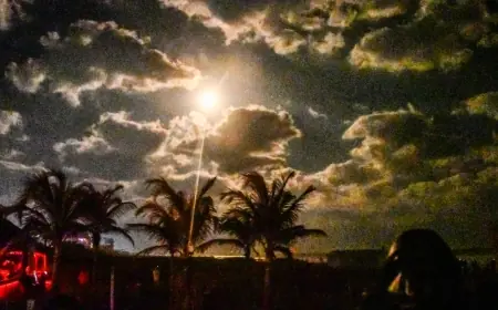 Spacex Rocket Launch from Cape Canaveral Delivers 29 Starlink Satellites, Booster Lands Near Bahamas