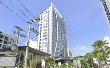 ASOS Founder Dies in Tragic 17th-Floor Balcony Fall at Tourist Spot