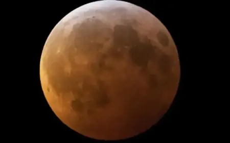 Florida Gears Up for Lunar Eclipse: When to See the Blood Moon