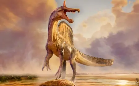 Spinosaurus discovery forces a rethink of its lifestyle and evolution — inland 'hell heron' species shifts the debate