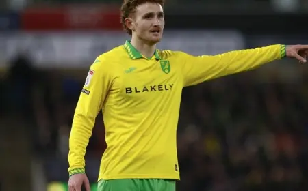 Norwich agree transfer for Josh Sargent as striker set to join Toronto in deal worth more than £20m