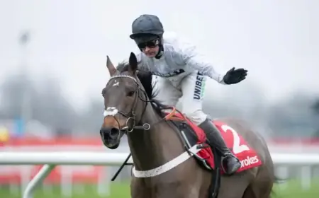 Constitution Hill Overtaken by Amo Racing Rival in Betfair Exchange Betting Battle