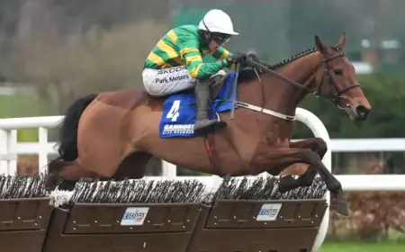 Narciso Withdraws from Cheltenham Festival’s JCB Triumph Hurdle Due to Setback