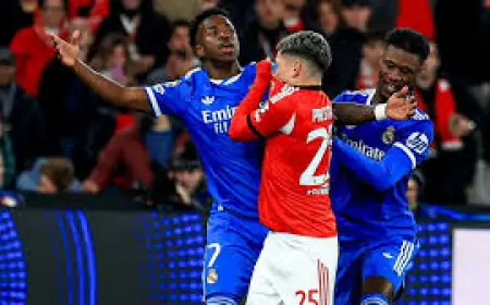 League Down: league down incident halts Benfica tie, deepens abuse record
