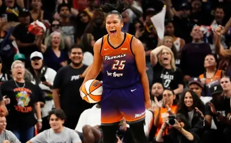 Wnba Mercury season: Why the wnba mercury will succeed in August
