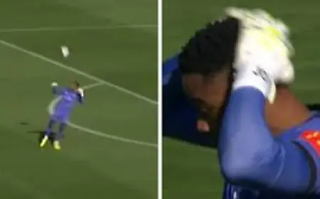 Josh Oluwayemi own-goal triggers managerial exit and forces rapid Wellington Phoenix reset