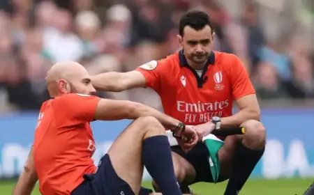 Referee Injury Halts England vs Ireland Six Nations Clash