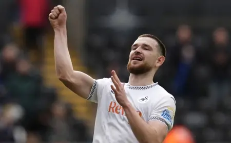 Vipotnik Volley Decides Swansea Vs Bristol City as Swans Hold On in 1-0 Win