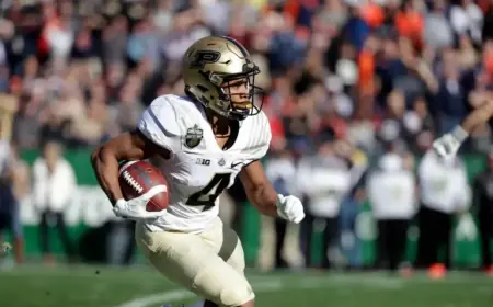 Former Big 10 All-American, NFL Wide Receiver, Dies at 25