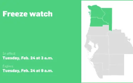 Freeze Watch Raises Immediate Concerns for Central West Florida Residents as Temperatures Drop Toward the 20s