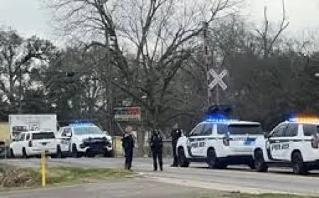 UPDATE: Two killed in car crash with Amtrak passenger train in south Mobile County