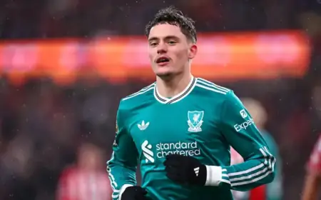 Florian Wirtz Injury Sparks Concerns for DFB Star