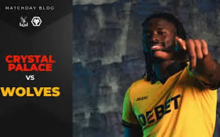 Crystal Palace Vs Wolves: Guessand’s 90th‑minute strike ends home drought