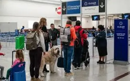 Tsa Precheck suspended as tsa precheck and Global Entry halted during partial government shutdown