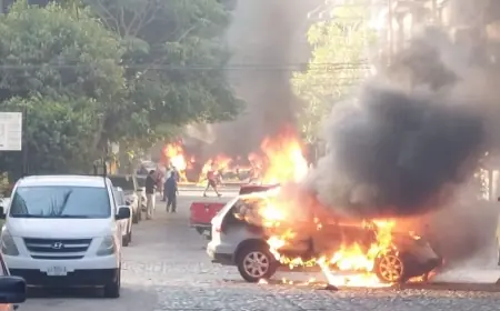 Mexico News: Vehicles Torched Across Jalisco After Tapalpa Operation