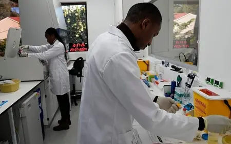 Zimbabwe launches twice-yearly lenacapavir HIV prevention program in national rollout