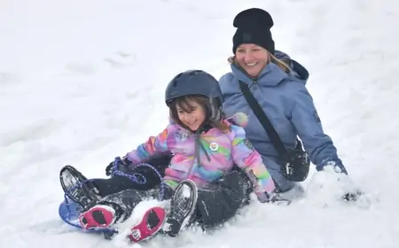 Snow Day Calculator 2026: How AI Predicts School Closures Amid the Blizzard of '26