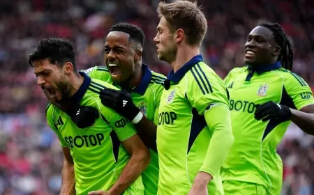 Sunderland Vs Fulham — Raul Jimenez double earns Marco Silva's side valuable victory in race for European spots (sunderland vs fulham)