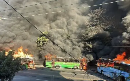 CJNG Cartel & Jalisco Crisis Update: El Mencho Killed, Jalisco Burns — Everything You Need to Know