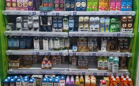 Oat Milk Ban Debate Heats Up as Regulators Review Labeling and School Policies