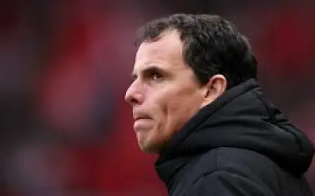 Sunderland Vs Fulham: Jimenez double and Iwobi chip settle sunderland vs fulham