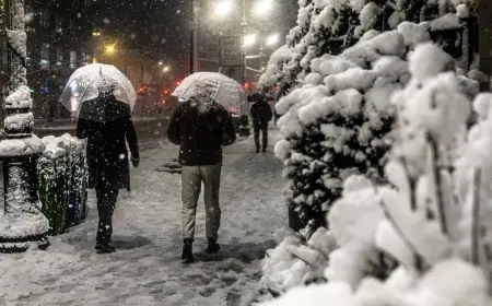 Nyc Travel Ban Enforced as Historic Blizzard Slams the US North-East, Airports and Power Grids Struggle