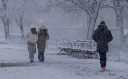 Winter Weather Grips Baltimore and Washington DC as Cairo Enjoys Mild February Sunshine