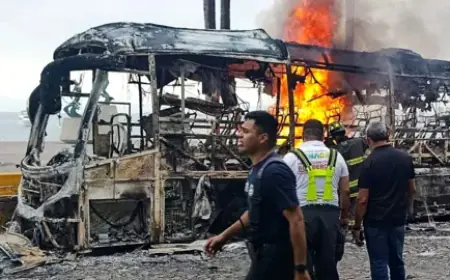 whats happening in mexico : El Mencho Killed, Cartel Violence Erupts Across Nation as Tourists Shelter in Place