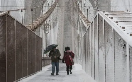 Snow Storm Weather Forecast Nyc: Mayor Mamdani Orders Travel Ban as Flights and Power Cuts Mount