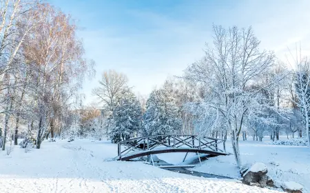 Eversource Power Outage Preparedness Urged as Governor Lamont Warns of Blizzard Conditions in Connecticut