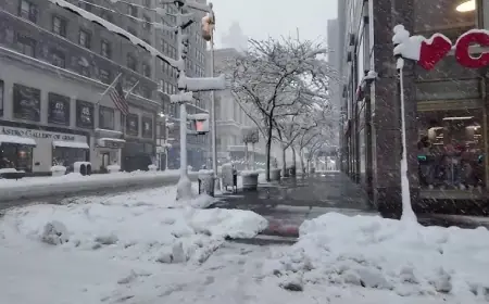 NYC Blizzard 2026: Travel Ban, Schools Closed, Snow Totals, MTA Status and Everything You Need to Know