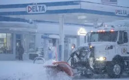 New Jersey Blizzard 2026: Snowfall Totals, Travel Ban, Power Outages and State of Emergency